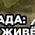 ВОЕННОПЛЕННЫЙ РФ Канев Андрей 25 бригада 6 армия Шторм V