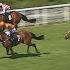 Unbeaten MONTASSIB Bolts Up For The Red Hot William Haggas Team At Goodwood Racing TV