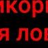 РАКИ Ловля раков Прикормка для ловли раков Прикормка для раколовок