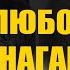 Отмоет всё Любой нагар Без усилий за 5 минут отмоет нагар жир с любой посуды