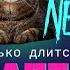 АДАПТАЦИЯ КОШКИ к новым условиям В новой семье доме к другим животным Как помочь коту