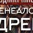 Генеалогическое древо генеалогическое древо семинар родина животворение Гарат школасорадение