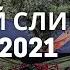 Сбор сливы самый простой быстрый и дешевый способ сбора урожая с помощью шейкеров и сборщиков