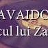 Zavaidoc Cantecul Lui Zavaidoc Versuri Lyrics Karaoke