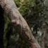 Viking Sleeve Tattoo Fenrir