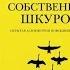 Рискуя собственной шкурой Талеб Видеоконспект книги Часть 1