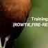 Best Training Song For Singing Rowtie Wiet Wiet Lorti Sorophila Minuta Firered Ruddybellied