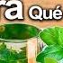 Té De Albahaca Para Qué Sirve Beneficios Del Té De Albaca Para Tu Salud Y Belleza