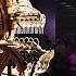 Wintergatan S Marble Machine X Performing Live MM X 9