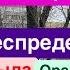 Днепр Взрывы Запорожье Мощный Искандер Орешник Молодец Беспредел ТЦК Днепр 26 декабря 2024 г