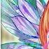 Winx Club World Of Winx Trasformazione Dreamix