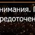 Брюс Алан Уоллес Глава 17 Революция внимания Пробуждение силы сосредоточенного ума