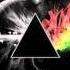 Pink Floyd Comfortably Numb Stylust Beats Remix