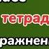 Немецкий язык 5 класс Вундеркинды Плюс рабочая тетрадь разбор с переводом и разъяснением ГДЗ