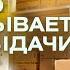 Сколько приносит ПВЗ Яндекс Маркет Как открыть пункт выдачи заказов Малый бизнес