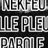 Nekfeu Elle Pleut Paroles