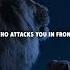 DON T FEAR YOUR ENEMY Lion Attitude WhatsApp Status Motivation WhatsApp Status