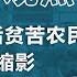 洛奇 我是中国80后贫苦农民既典型又非典型的缩影 观点