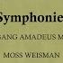 Symphony No 15 In G Major K 124 II Andante