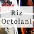 Riz Ortolani Soundtrack Volume 2