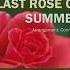 Last Rose Of Summer Friedrich Von Flotow 1812 1883 Arrangement Conny Rall