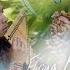 Leo Rojas Earth Song