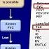 Pulmonary Function Tests PFT Lesson 5 Summary And Practice Cases