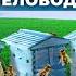 Пчеловодство как Бизнес Сколько стоит натуральный мёд Андрей Даниленко