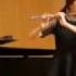 Richard Strauss Salome Flute Repertoire Essentials Series On Opera Solos Dec 9 2016