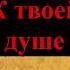 Посмертное явление Погибший на СВО воин передал нам послание