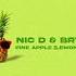 Nic D Bryce Vine Fine Apple Lemon Lime Remix Audio