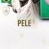 PELE IN A PACK LUCKIEST FIFA 19 TOTS PACK OPENING