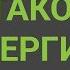 Биоэнергия или энергия биомассы Расскажем о самых распространённых технологиях переработки биомассы