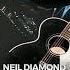 Neil Diamond Sweet Caroline REMIX Juliano Fernandes DJ ART EDIT