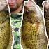 DISGUSTING Rock Bass Catch Cook Is It Good