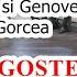 Gabriel Si Genoveva Gorcea DRAGOSTEA Nunta Marcus Gorcea Joanna Băcilă