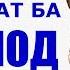 Панду насихат ба домодшаванда