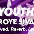 Youth Troye Sivan Slowed Reverb Lyrics Tiktok Version