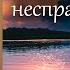 О великом грехе несправедливости Паисий Святогорец С болью и любовью о современном человеке