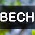 ВЕСНА чудо пробуждения природы Москва Релакс звуки природы SPRING