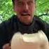 The Giant Puffball A Delicious Mushroom To Be Shared Foraging Giantpuffball Mushroom