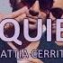 Mattia Cerrito TE QUIERO OFFICIAL VIDEO