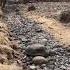 Water Rushes Down Australia S Moonan Brook River During Drought Conditions