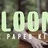 Bloom The Paper Kites Live Acoustic Cover Feat Silayne