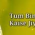 TUM BIN LYRICS SHREYA GHOSHAL