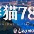 Ledmomo诺米叻 胖猫780 愿天堂没有竹子 如果她能选择去见你 能否让你回心转意