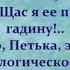 Смешные анекдоты про Чапаева Петьку и Анку