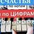 Птица счастья завтрашнего дня Как быстро и легко научиться играть на пианино по нотам и по цифрам