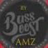 MIRAJ TZUNAMI MI E DOR DE MUZICA EI Bass Boosted By AMZ