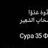 Сильная Рукъя против всех видов Шайтанов и развязывания узлов L Шейх Абдуррахма